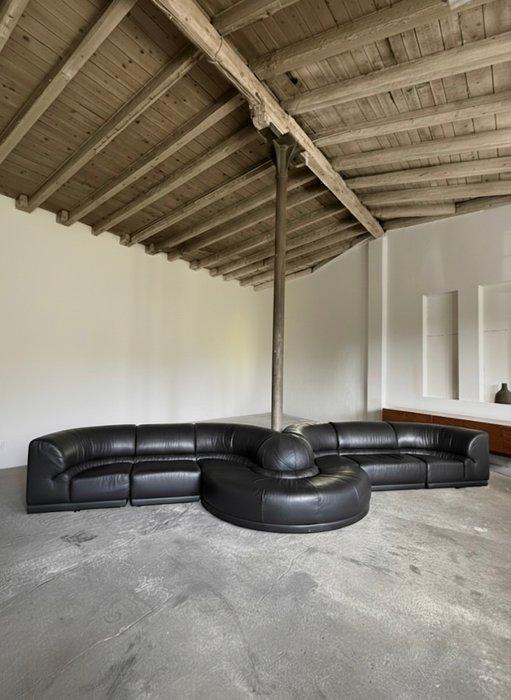 Roche Bobois - Sofa (7) - Serpentine - Leder, Hout - Modular, Antiek en Kunst, Antiek | Meubels | Stoelen en Banken