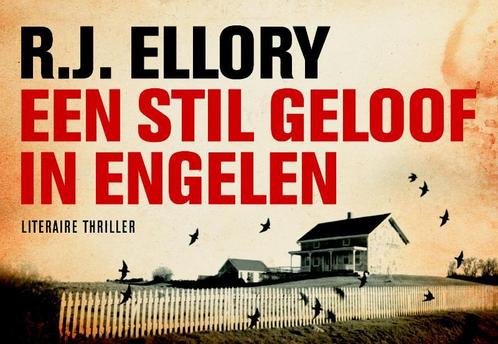 Een stil geloof in engelen / Dwarsligger / 165 9789049801663, Boeken, Thrillers, Gelezen, Verzenden