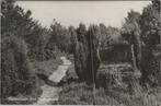 OOTMARSUM - Het Springendal, Verzenden, Gelopen