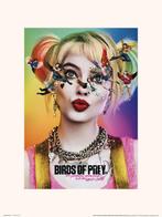 Kunstdruk Birds of Prey Dazed and Confused 30x40cm, Verzenden, Nieuw