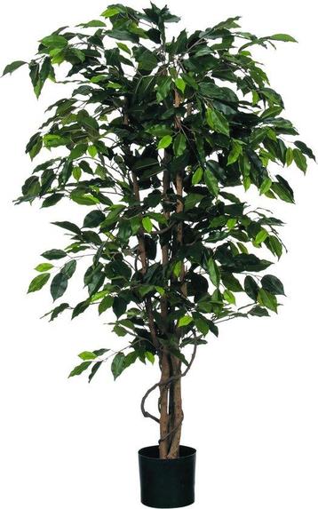2dekans | Mica Decorations Ficus Kunstplant - H150 x Ø85 cm beschikbaar voor biedingen
