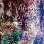 LP gebruikt - The Womb  - The Womb, Verzenden, Zo goed als nieuw