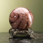 Octopus op Sterk Water Taxidermie Opgezette Dieren By Max, Verzamelen, Ophalen of Verzenden, Nieuw, Wild dier, Opgezet dier