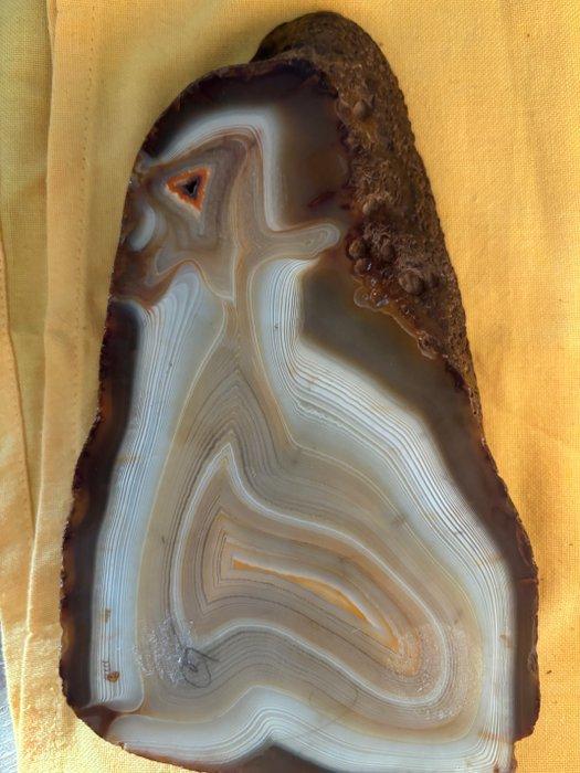 Vide-poche - Brazilië - de agaat iris gepolijste, Antiek en Kunst, Curiosa en Brocante