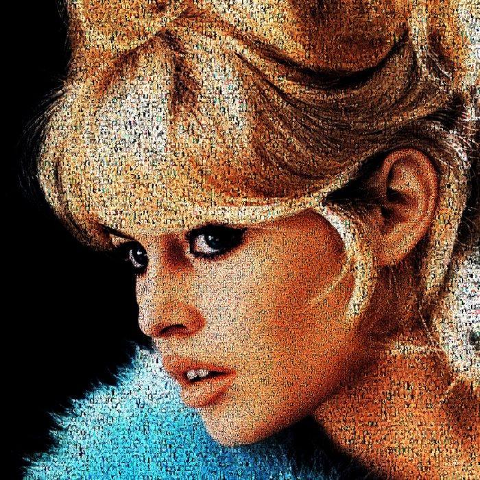 David Law (1967) - Crypto Brigitte Bardot XVIII - Format XL, Antiek en Kunst, Kunst | Designobjecten
