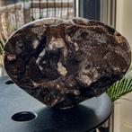 Septaria Wild Black Crystals Fine Large Wild Septaria Black, Verzamelen, Mineralen en Fossielen