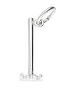 Zilveren Tuinhark ketting hanger, Verzenden, Nieuw