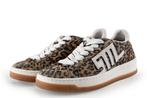 Steve Madden Sneakers in maat 39 Panter | 10% extra korting, Kleding | Dames, Schoenen, Overige kleuren, Verzenden, Steve Madden