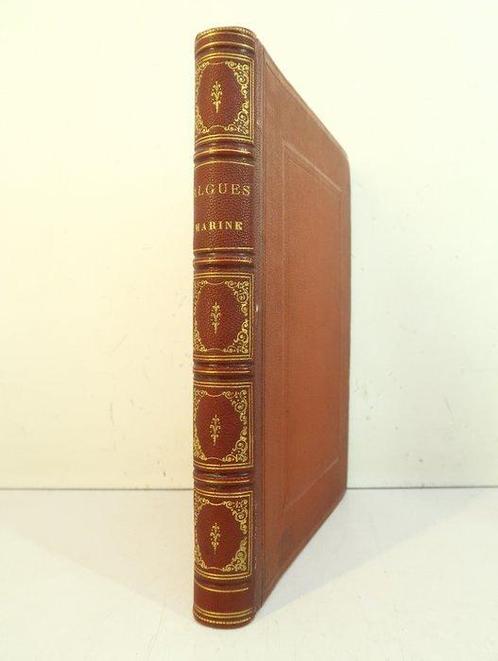 [Alguier] - [85 spécimens dalgues séchés et pressés au 19e, Antiek en Kunst, Antiek | Boeken en Bijbels