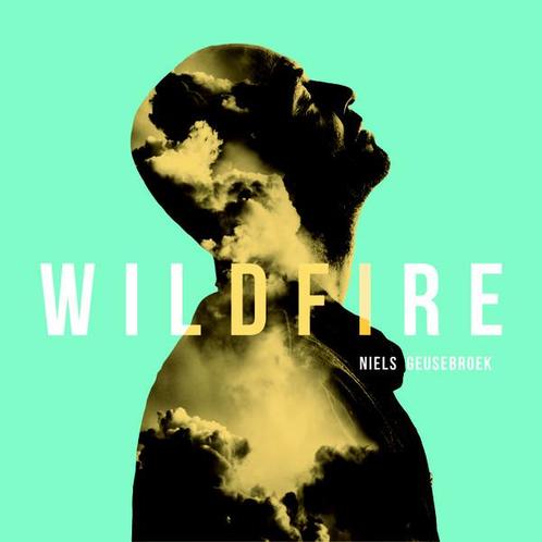 cd digi - Niels Geusebroek - Wildfire, Cd's en Dvd's, Cd's | Rock, Zo goed als nieuw, Verzenden