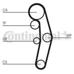 Waterpomp + Distributieriem Set CT1028WP3 Voor Audi Seat..., Nieuw, Ophalen of Verzenden