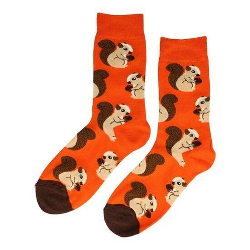 Sokken Eekhoorn Print Maat 36-43 Oranje, Kleding | Dames, Sokken en Kousen