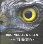 Roofvogels & uilen in Europa 9789036630870 Jaap Schelvis, Verzenden, Zo goed als nieuw, Jaap Schelvis
