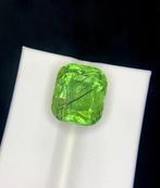 Zonder Minimumprijs Olivijn - 16.60 ct - nternational, Sieraden, Tassen en Uiterlijk, Edelstenen, Nieuw