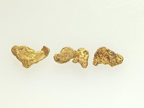 Buitengewone goudklompjes - Lapland/Finland/ 0,50 gr Goud, Verzamelen, Dierenverzamelingen