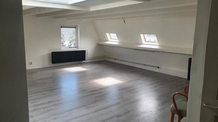 Te huur: Appartement Burgemeester Weertsstraat in Arnhem, Huizen en Kamers, Huizen te huur, Gelderland, Appartement