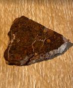 NWA 10699 - meteoriet Gewone chondriet (LL(L)3) - zeldzame