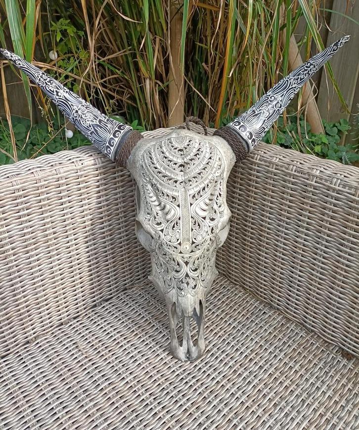 Buffelschedel - licht grijs - prachtig uit gesneden, Huis en Inrichting, Woonaccessoires | Overige, Verzenden