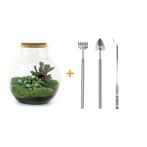 DIY terrarium - Teddy -  26,5 cm - Rake + Shovel + Tweezer, Verzenden