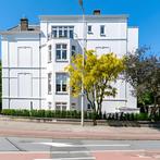 Gemeubileerd appartement met balkon en monumentaal..., Appartement, Direct bij eigenaar, Den-haag