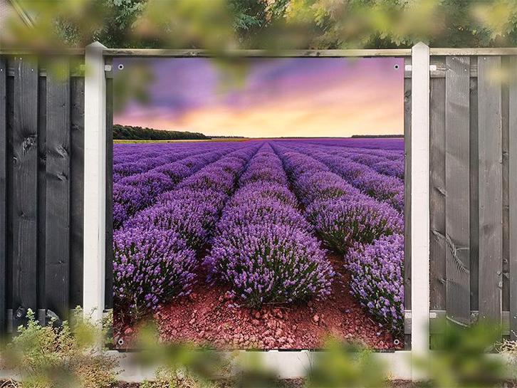 NR 1408: Tuinposter lavendelveld 180x180cm, Tuin en Terras, Tuinwanddecoratie, Nieuw