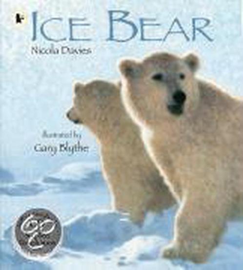 Ice Bear Pbk With Cd 9781406313031 Nicola Davies, Boeken, Overige Boeken, Gelezen, Verzenden