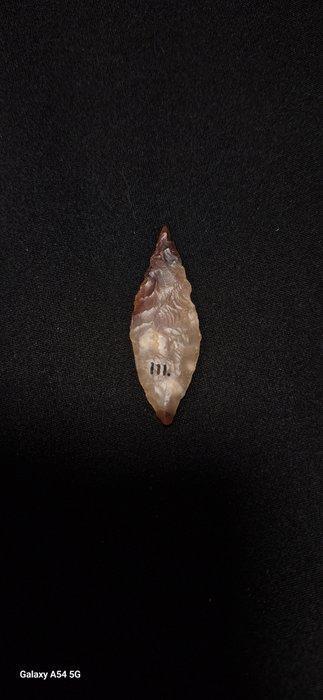 Neolithisch Kornalijn laurierblad pijlpunt - 54 mm (Zonder, Antiek en Kunst, Antiek | Overige Antiek