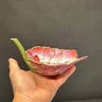 Penseelwasser - Porselein