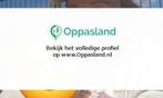 Gi zoekt een oppas in Ede voor 4 kinderen voor 6 dagen in...