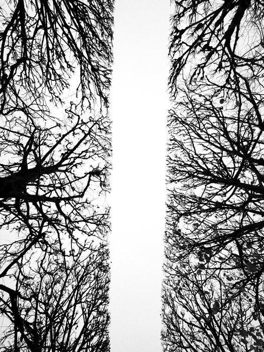 Gilliard Bressan - Branches of Silence - XL, Antiek en Kunst, Kunst | Designobjecten