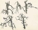 Dulieu, Jean - 1 Original drawing - vrij werk - Bomen in, Boeken, Nieuw