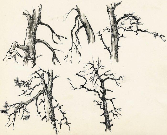 Dulieu, Jean - 1 Original drawing - vrij werk - Bomen in, Boeken, Stripboeken