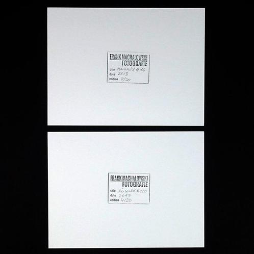 Frank Machalowski - tierwald#16 & tierwald#120, Antiek en Kunst, Kunst | Schilderijen | Modern