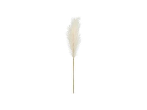 Droogbloemen Pampas 1,1m, Hobby en Vrije tijd, Feestartikelen, Nieuw, Verzenden
