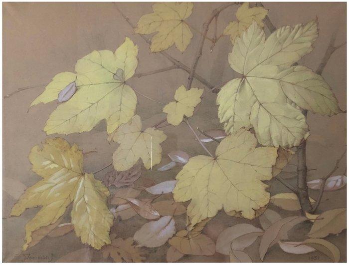Jan Voerman Jr.(1890-1976) - Compositie van herfstbladeren, Antiek en Kunst, Kunst | Schilderijen | Klassiek