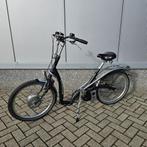 Gebruikte Van Raam Balance 2010 Heinzmann NiMh accus 2, Gebruikt