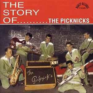cd - The Picknicks - The Story Of.........., Cd's en Dvd's, Cd's | Overige Cd's, Zo goed als nieuw, Verzenden