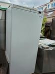 jumbo koelkast 600 li. werkt als nieuw