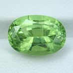 Zonder Minimumprijs Groen Olivijn  - 6.23 ct - International, Sieraden, Tassen en Uiterlijk, Edelstenen, Nieuw