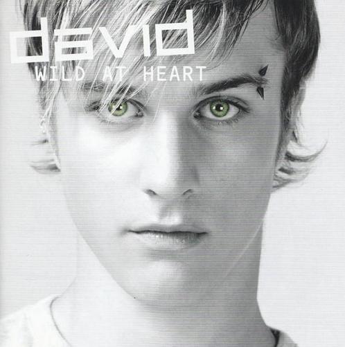 cd - David - Wild At Heart, Cd's en Dvd's, Cd's | Overige Cd's, Zo goed als nieuw, Verzenden