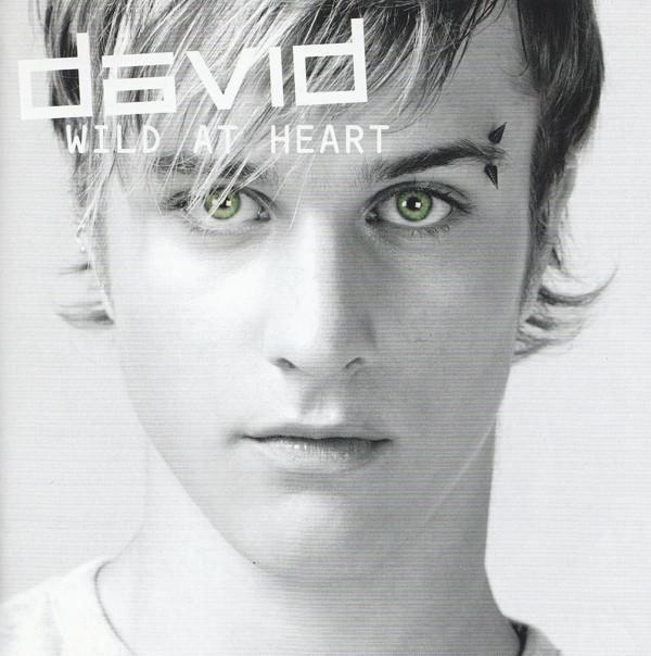 cd - David - Wild At Heart, Cd's en Dvd's, Cd's | Overige Cd's, Zo goed als nieuw, Verzenden