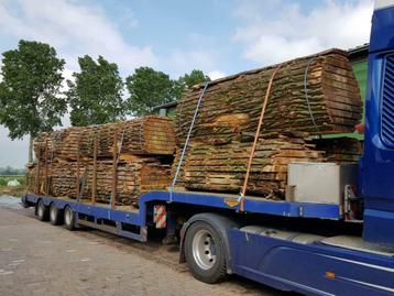 Grote partij | schaaldelen | 150 m3 beschikbaar voor biedingen