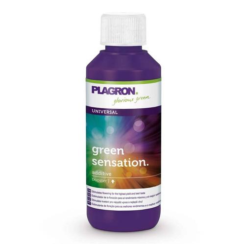 Plagron Green Sensation 100 ml, Tuin en Terras, Plantenvoeding, Nieuw, Ophalen of Verzenden