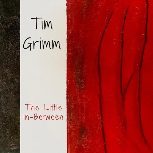 Tim Grimm - The Little In-Between - CD, Cd's en Dvd's, Cd's | Overige Cd's, Ophalen of Verzenden