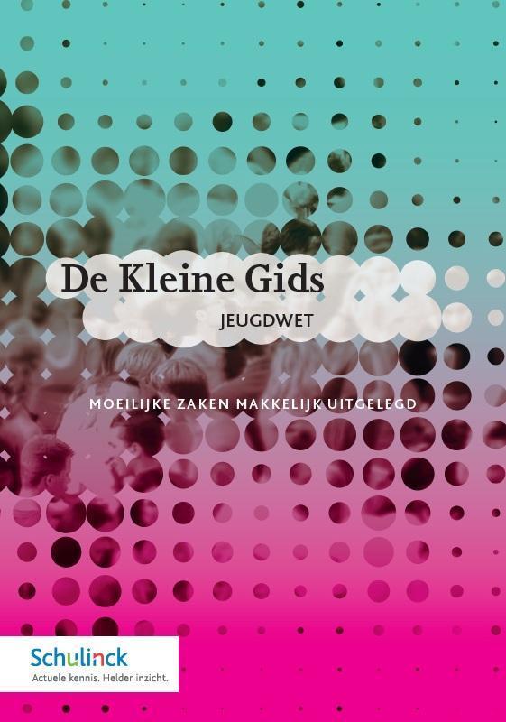 De kleine gids de jeugdwet 9789013130522, Boeken, Studieboeken en Cursussen, Zo goed als nieuw, Verzenden
