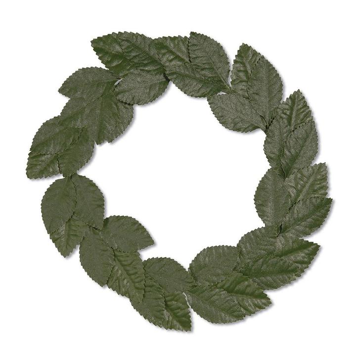 Groene Hoofdband Lauwerkrans, Hobby en Vrije tijd, Feestartikelen, Nieuw, Verzenden