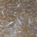 Maagsapresistente Capsules Maat 1 Transparant       5000, Ophalen of Verzenden, Nieuw