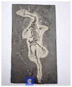 Interessant enorm authentiek gedeeltelijk uit elkaar liggend