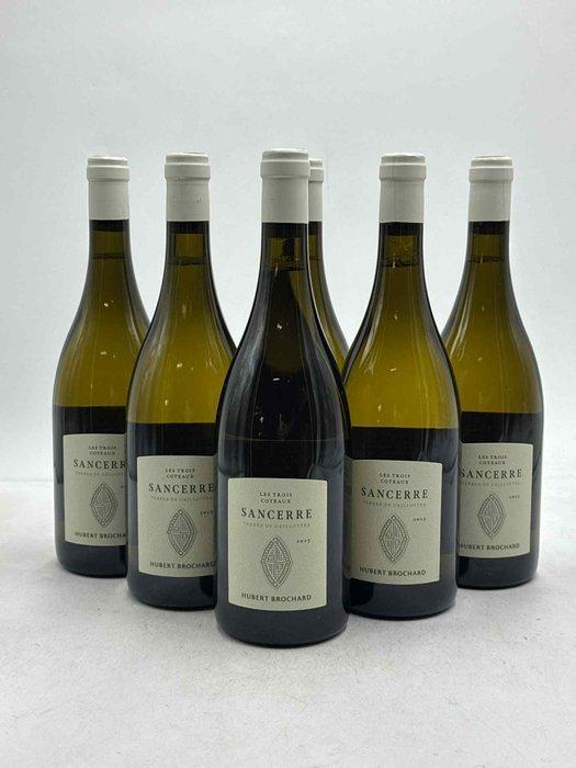 2023 Hubert Brochard Terres de Caillottes - Sancerre - 6, Verzamelen, Wijnen