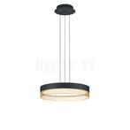 Hell Mesh Hanglamp LED, zwart/goud - 45 cm (Hanglampen), Huis en Inrichting, Lampen | Hanglampen, Verzenden, Nieuw